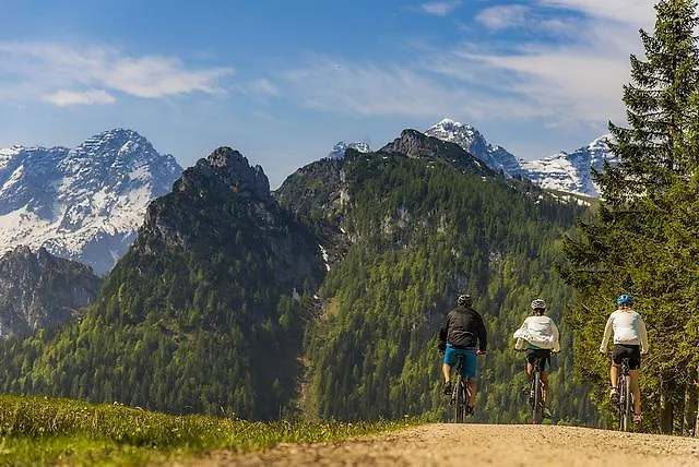 Apartament Wartbichler Lofer